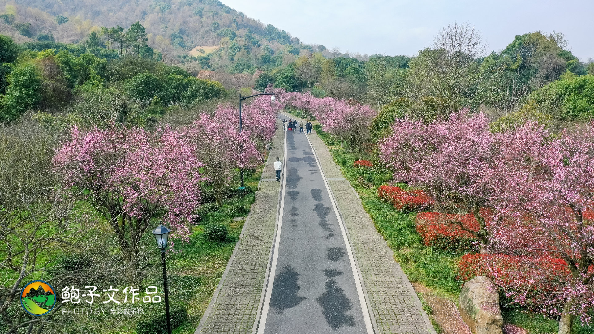 杭州漂亮的景点有很多,光西湖十景,新西湖十景走一天也走不完.