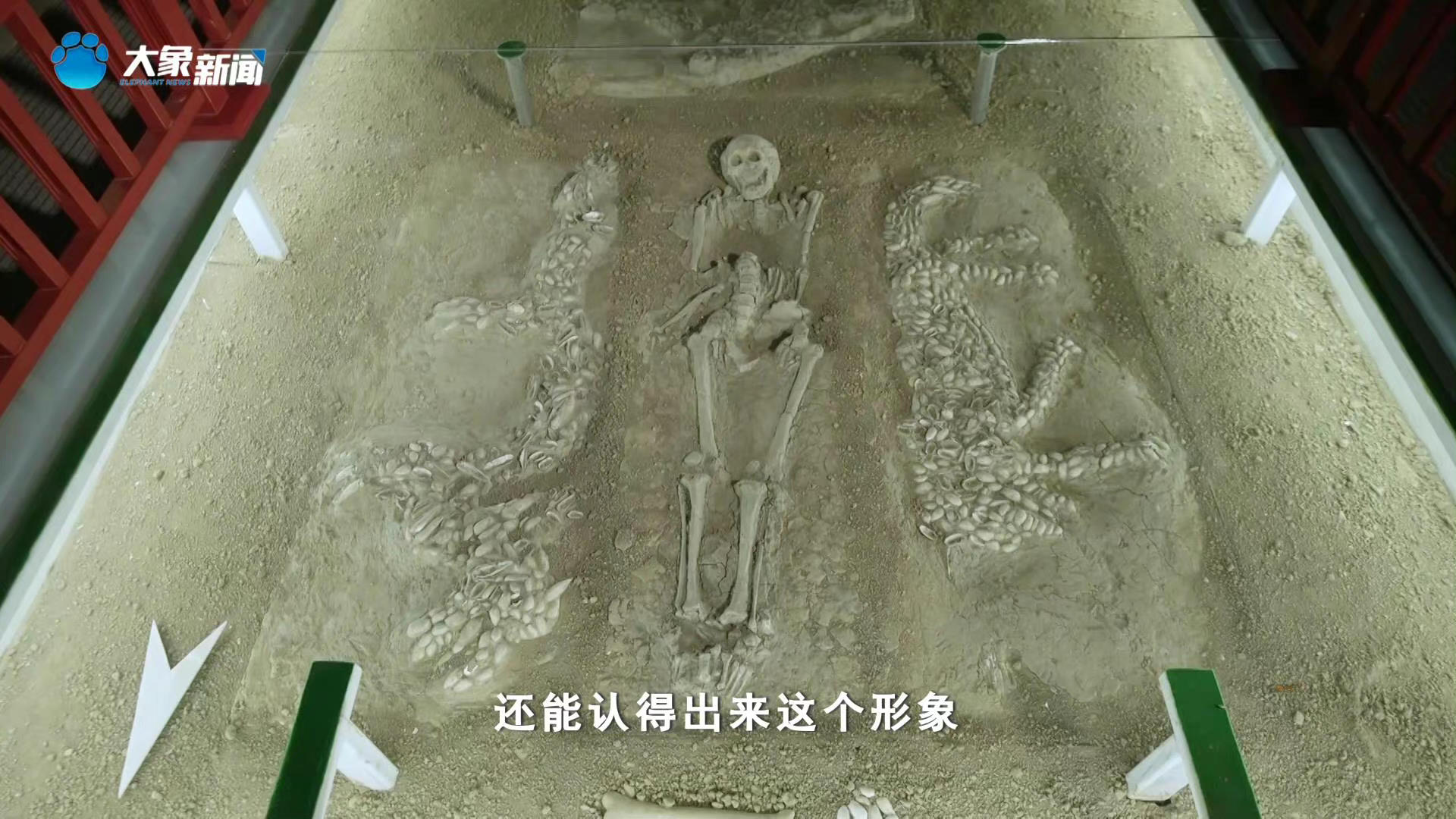 看了华豫之门才知道,原来中华第一龙是在河南濮阳出土的……__财经头条