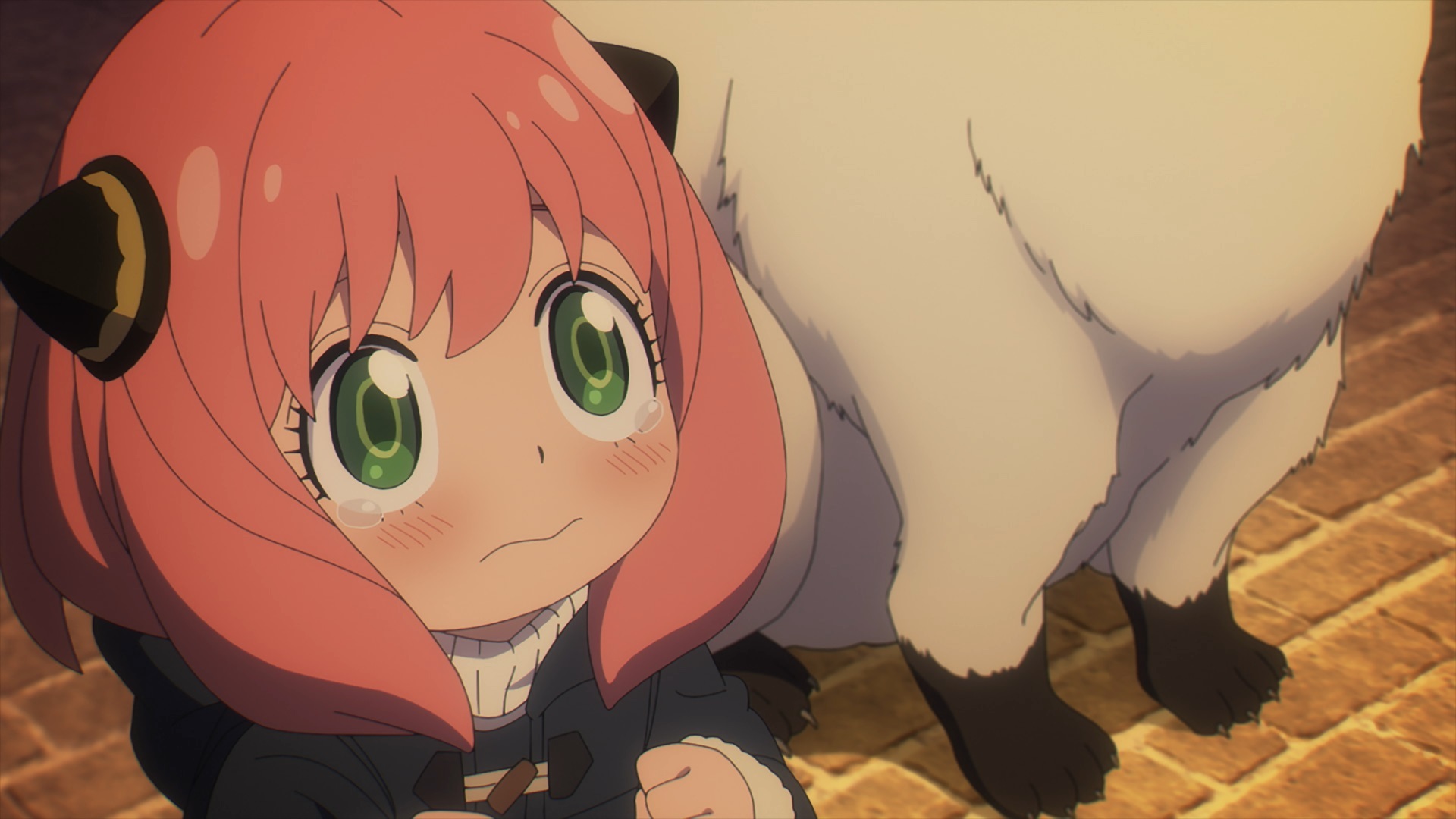 《间谍过家家》第一季动画part2官图合集!