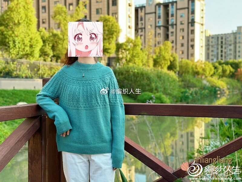 金亮亮手作秋穗套衫出处编织人生论坛