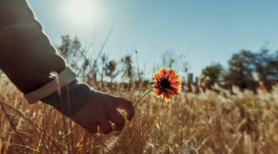 夜读丨林清玄：人生有许多事是值得等待的休闲区蓝鸢梦想 - Www.slyday.coM