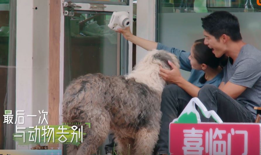 《牧野家族》完美收官,容祖儿、王子文泪别小屋,看着好感人休闲区蓝鸢梦想 - Www.slyday.coM 《牧野家族》完美收官,容祖儿、王子文泪别小屋,看着好感人休闲区蓝鸢梦想 - Www.slyday.coM