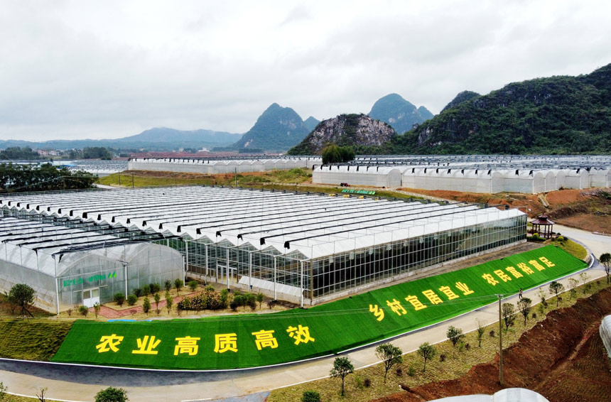 国家现代农业产业园创建名单平桂区榜上有名
