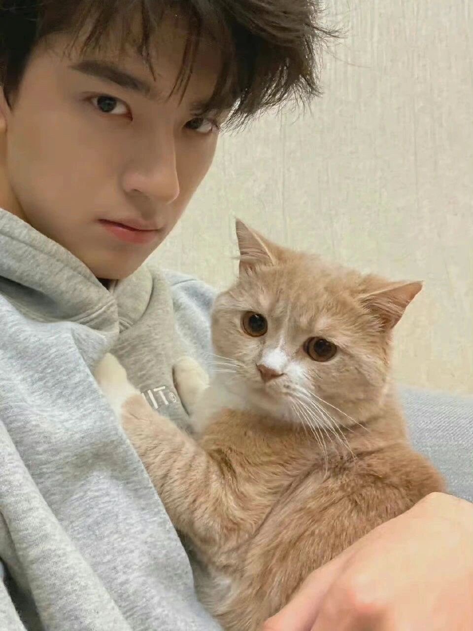 林一怀中的猫 是谁羡慕了__财经头条