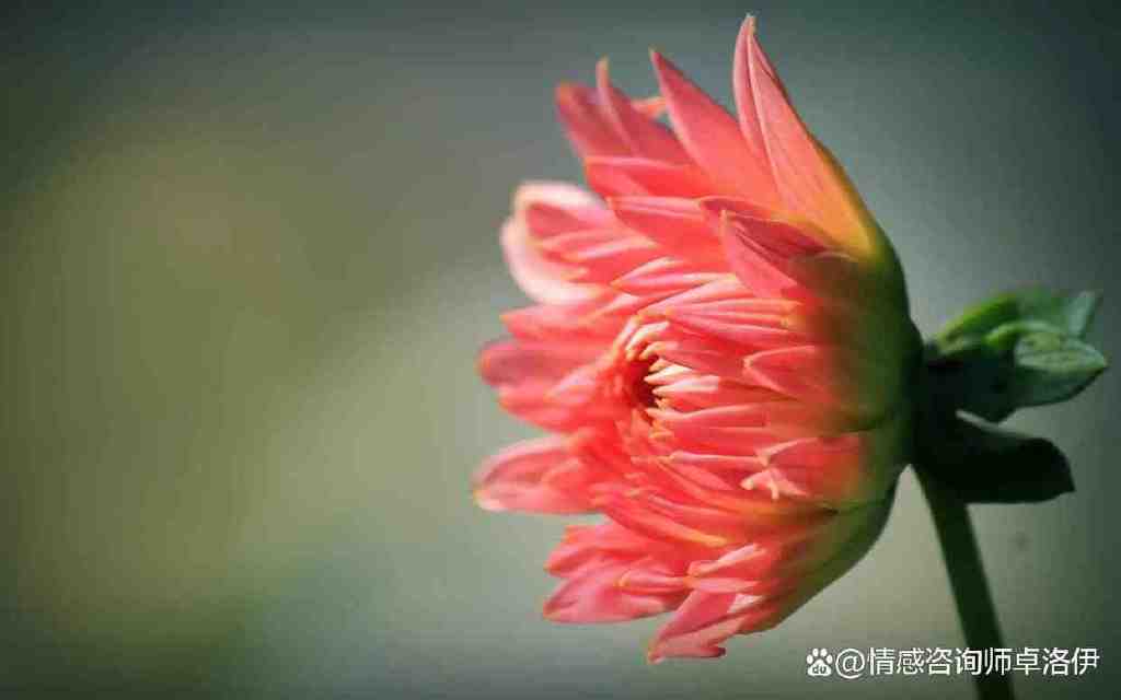 夫妻收入差距,你觉得会影响幸福指数吗?休闲区蓝鸢梦想 - Www.slyday.coM 夫妻收入差距,你觉得会影响幸福指数吗?休闲区蓝鸢梦想 - Www.slyday.coM