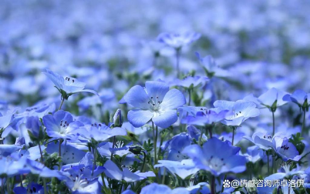 夫妻收入差距,你觉得会影响幸福指数吗?休闲区蓝鸢梦想 - Www.slyday.coM 夫妻收入差距,你觉得会影响幸福指数吗?休闲区蓝鸢梦想 - Www.slyday.coM