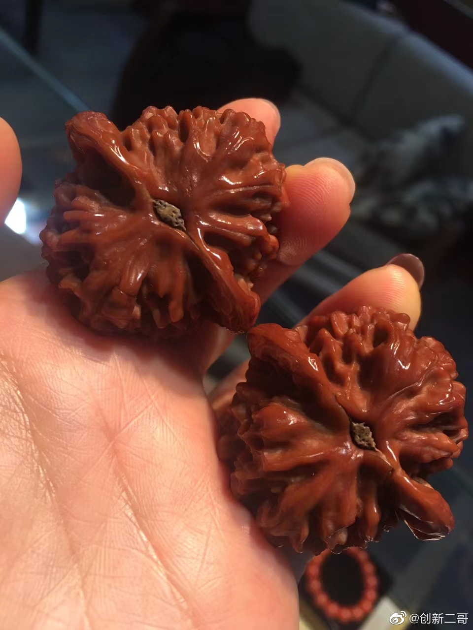 山西黎城野生公子帽 大宽边 老款