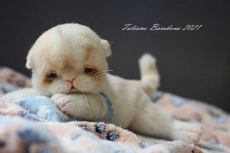 又被萌到了，真假难辨的羊毛毡小动物，让人忍不住想要戳一戳休闲区蓝鸢梦想 - Www.slyday.coM