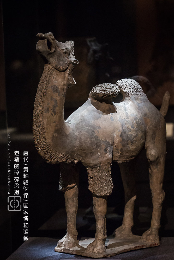 12.7 国家博物馆 平民情怀-平山郁夫藏丝路文物展 唐代