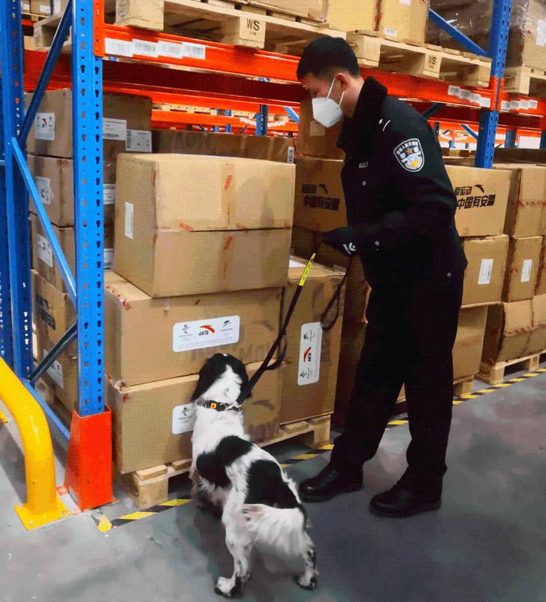 警犬“小七”的冬奥故事休闲区蓝鸢梦想 - Www.slyday.coM