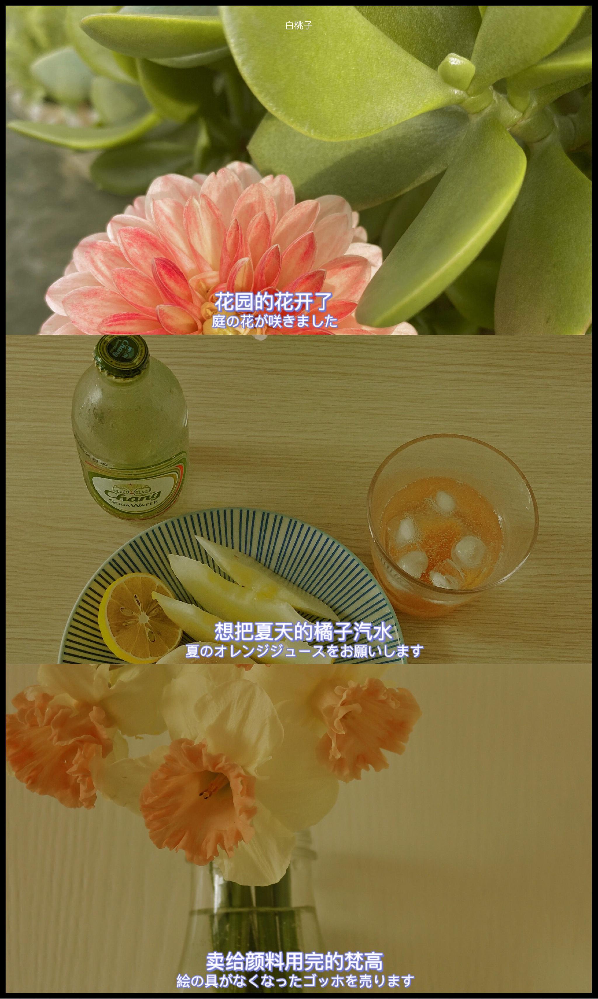 “晚点遇见吧,我刚好成熟,你刚好温柔”__财经头条