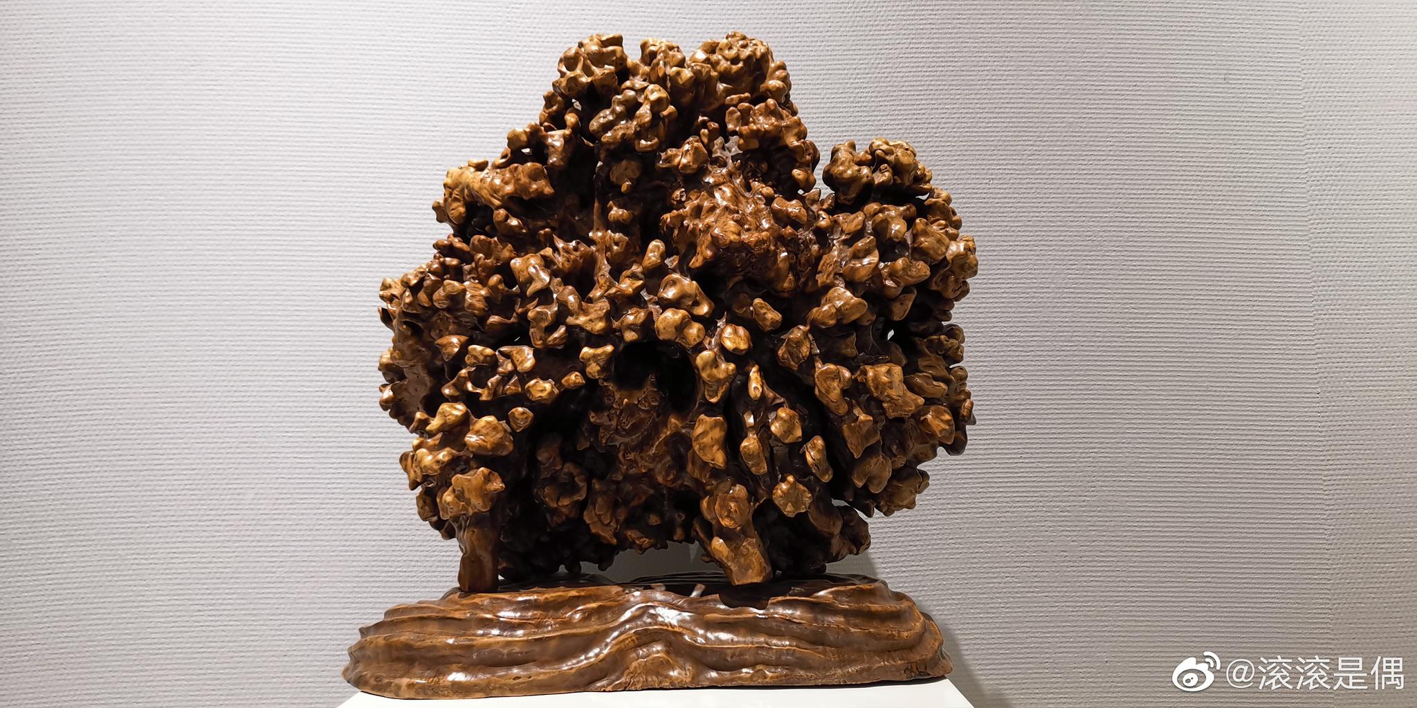 吉林市四绝之一——松花湖浪木根雕艺术