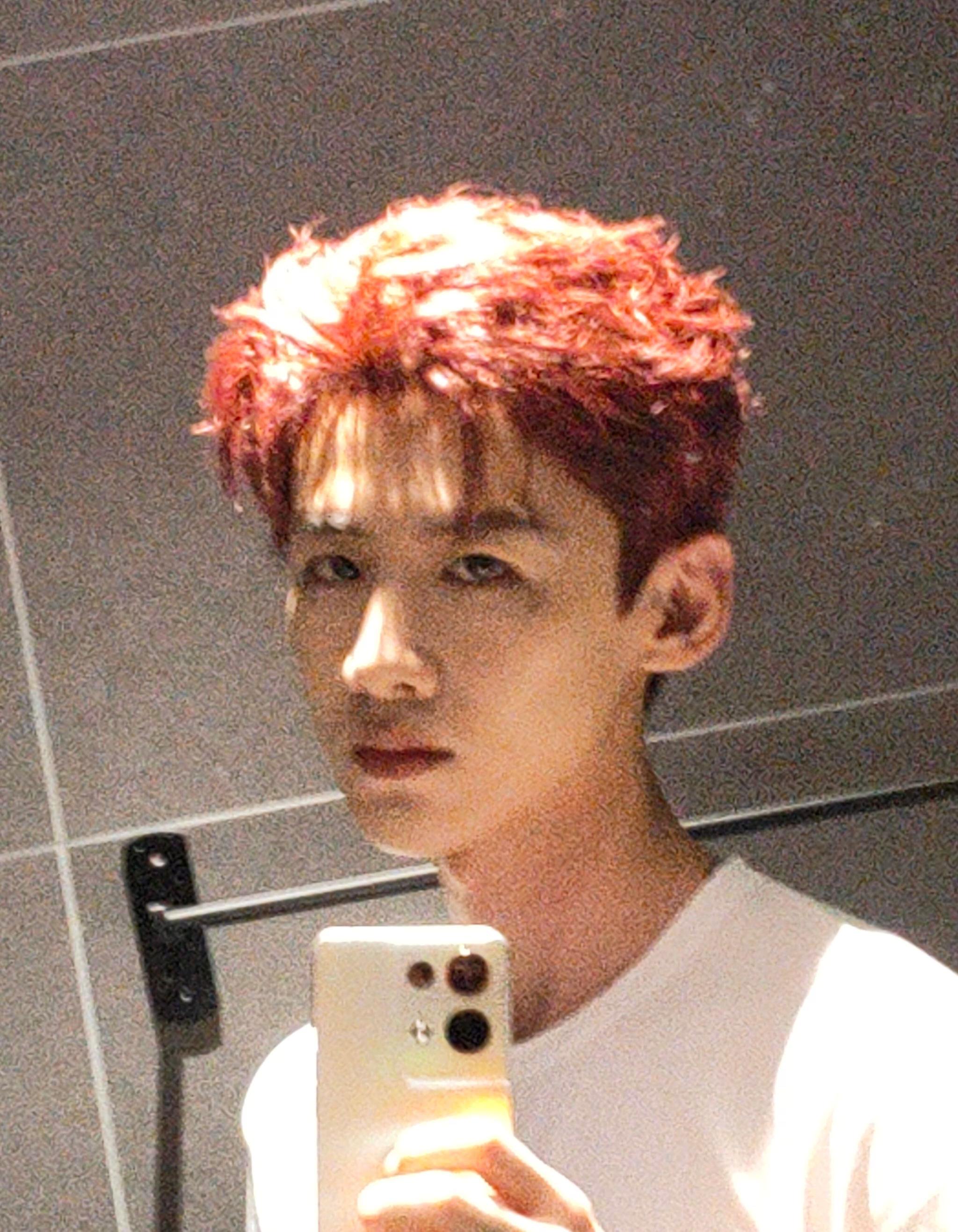 白敬亭 红敬亭 粉敬亭