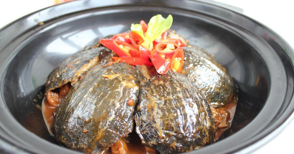 赣南美食篇之五红烧沙鳖子