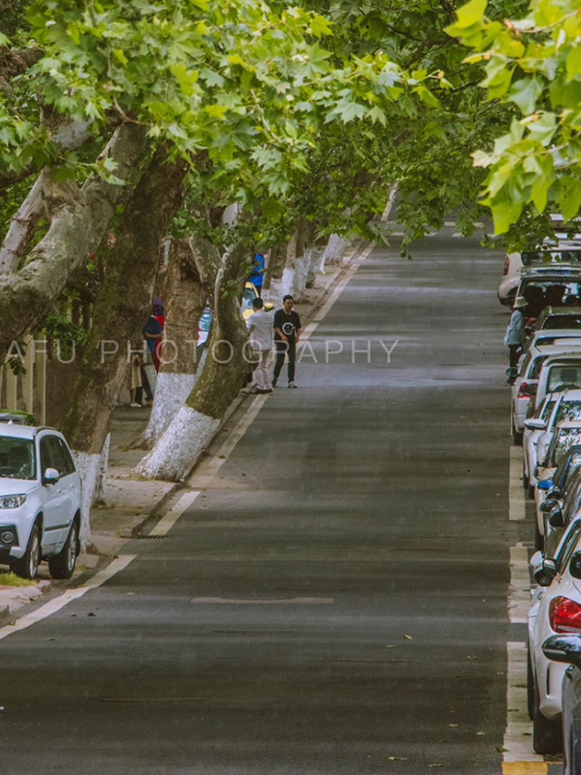 初夏微雨散步八大关刚刚好