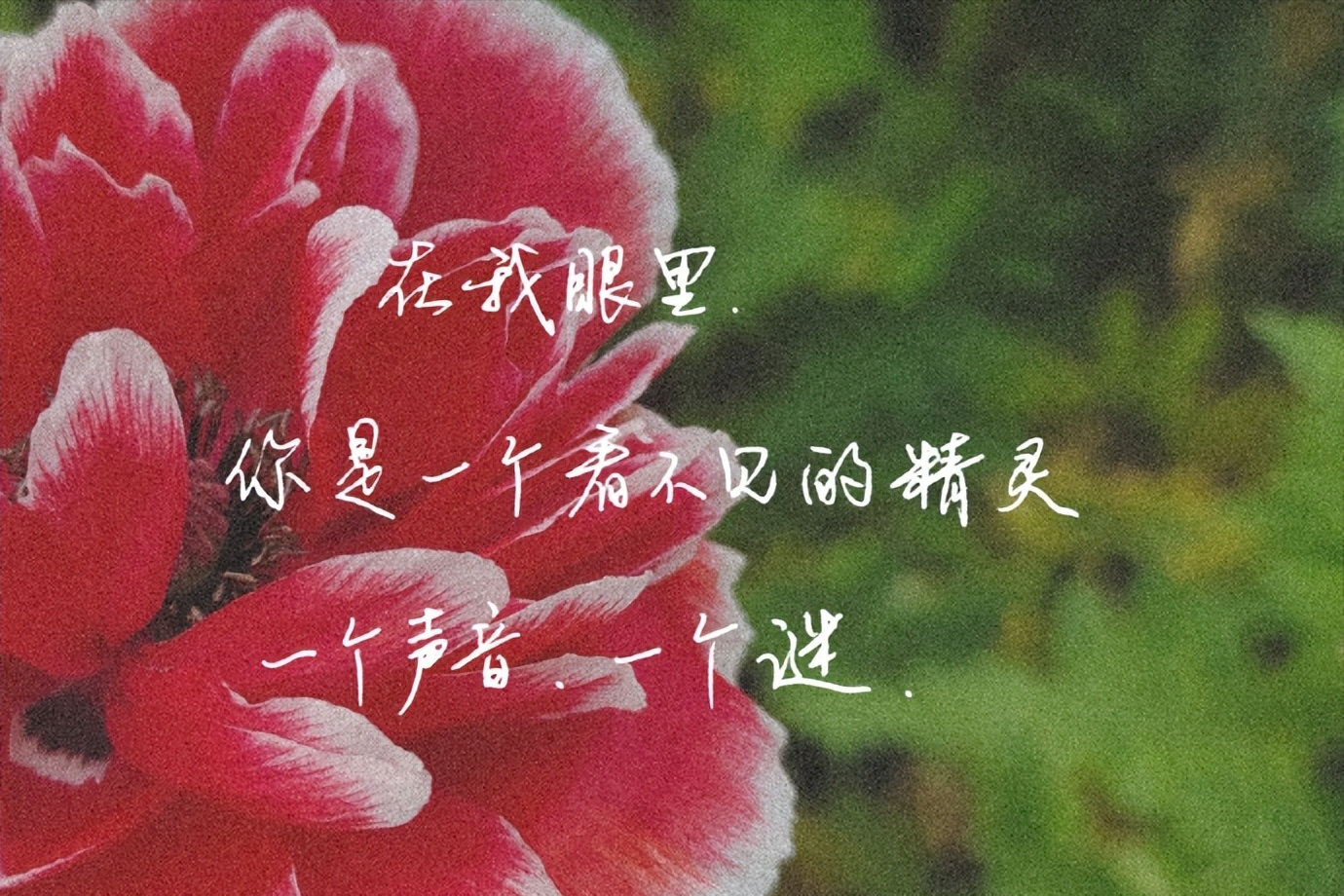 速看(娓娓而谈)娓娓而谈造句 第6张