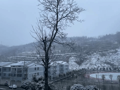 今年首个暴雪预警拉响！问世间“晴”为何物，上海的雪安排上了？休闲区蓝鸢梦想 - Www.slyday.coM