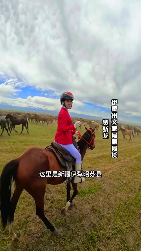 新疆伊犁天马国际旅游节开幕,贺娇龙重回昭苏再上马背