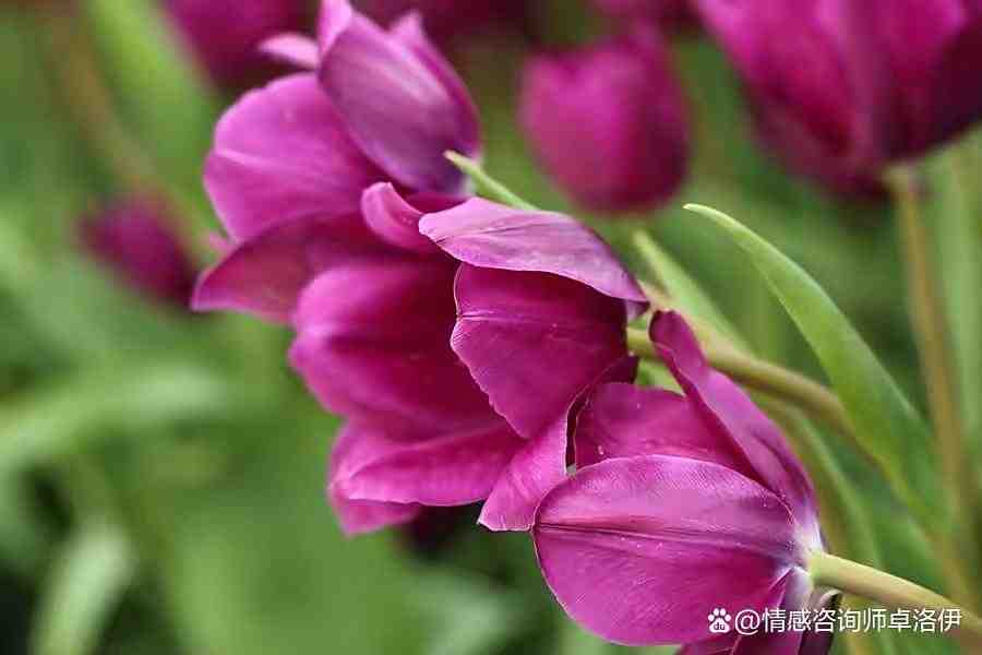 夫妻收入差距,你觉得会影响幸福指数吗?休闲区蓝鸢梦想 - Www.slyday.coM 夫妻收入差距,你觉得会影响幸福指数吗?休闲区蓝鸢梦想 - Www.slyday.coM