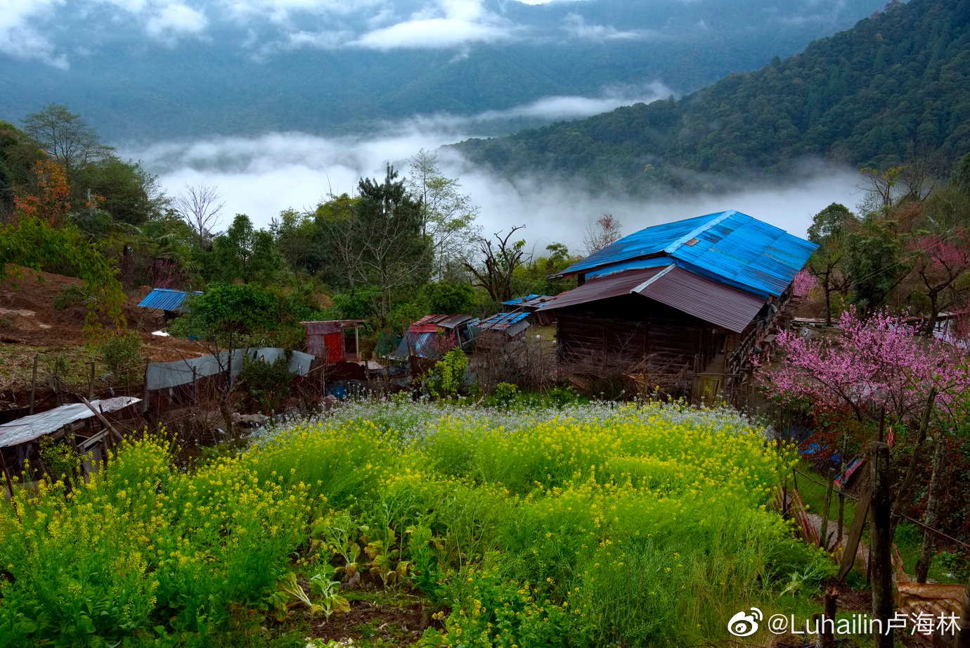 为什么会做春梦？