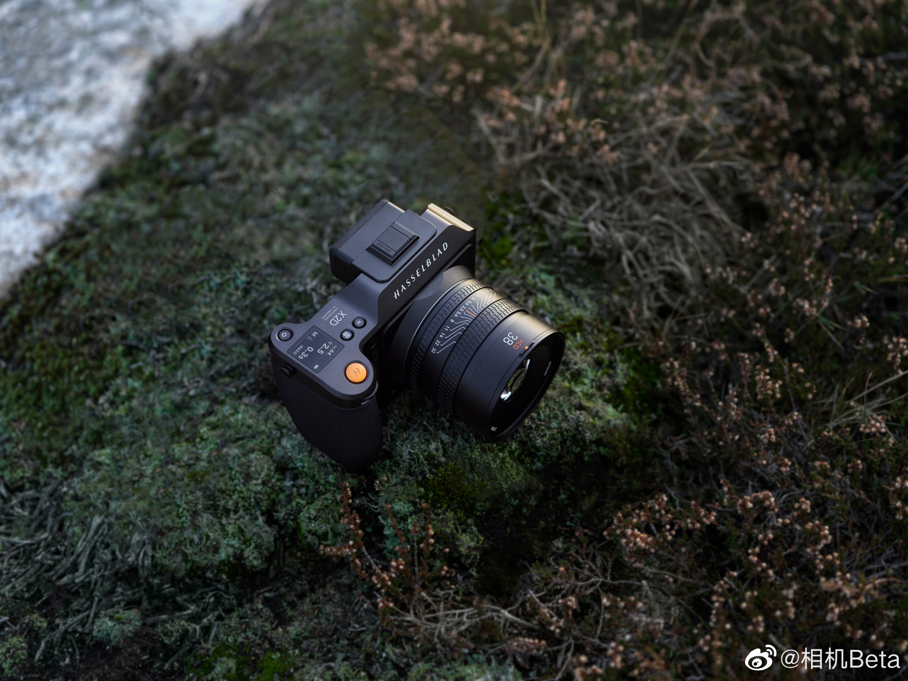 哈苏X2D C100一亿像素中画幅相机图赏中画幅哈苏相机_新浪新闻