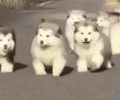 388_324gif 动态图 动图