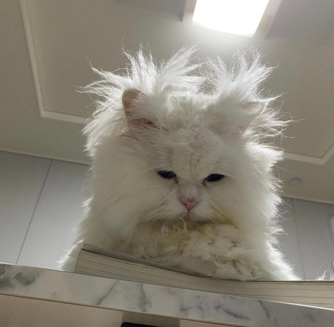 假期在家睡懵的你