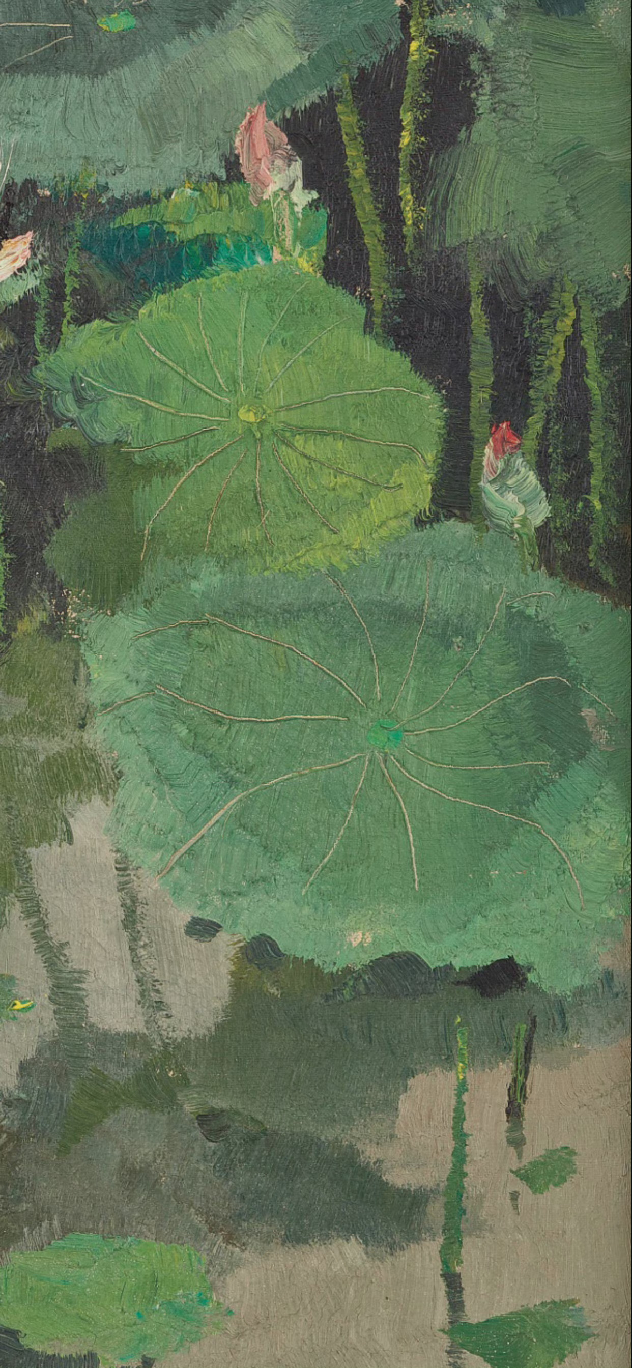 " 荷花 … "丨吴冠中 · 绘