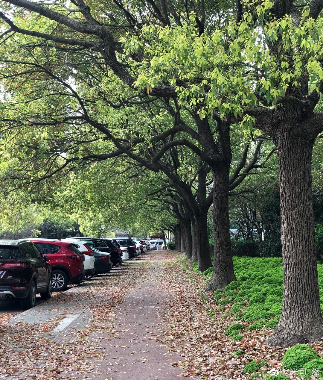 雷霆冲击力挑战雄鹿冠军底蕴
