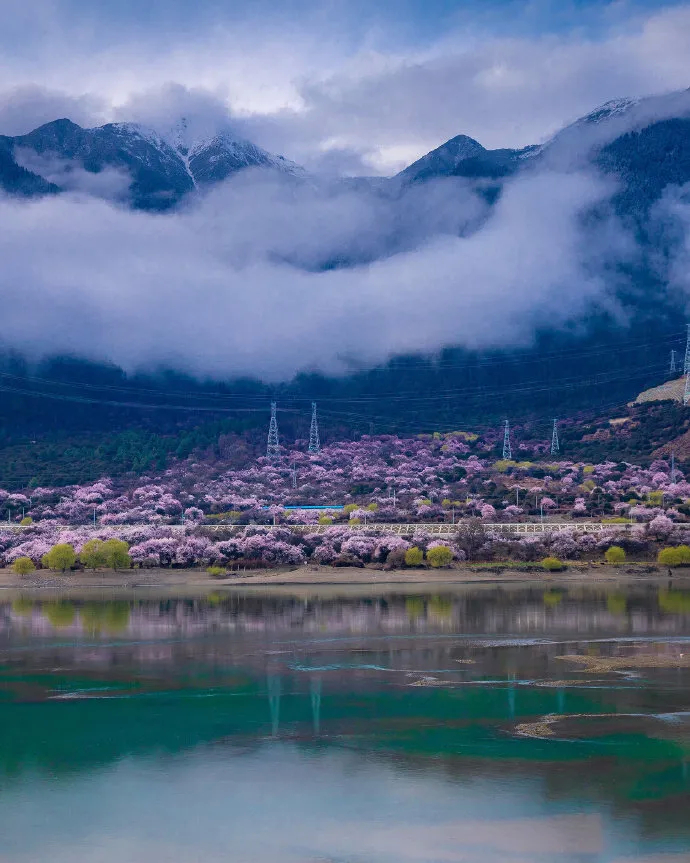 3月去西藏林芝吧那里有中国最美的春天