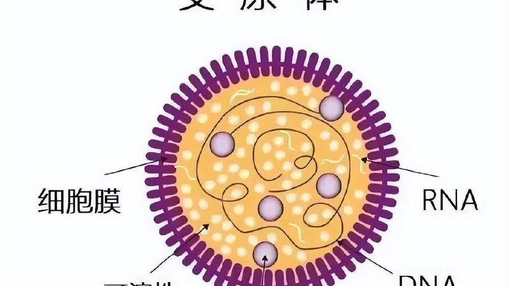抗肺炎支原体抗体是阳性最好的治疗办法