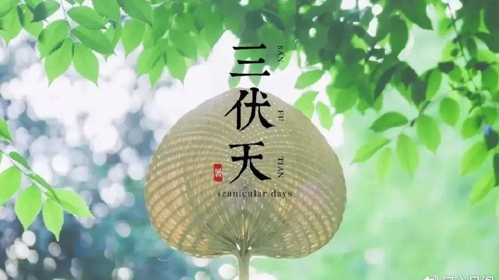 原创|7月15日入伏,三伏天养生五大要诀,守护健康一夏!|要诀|养生|生冷|湿气|饮水_新浪新闻