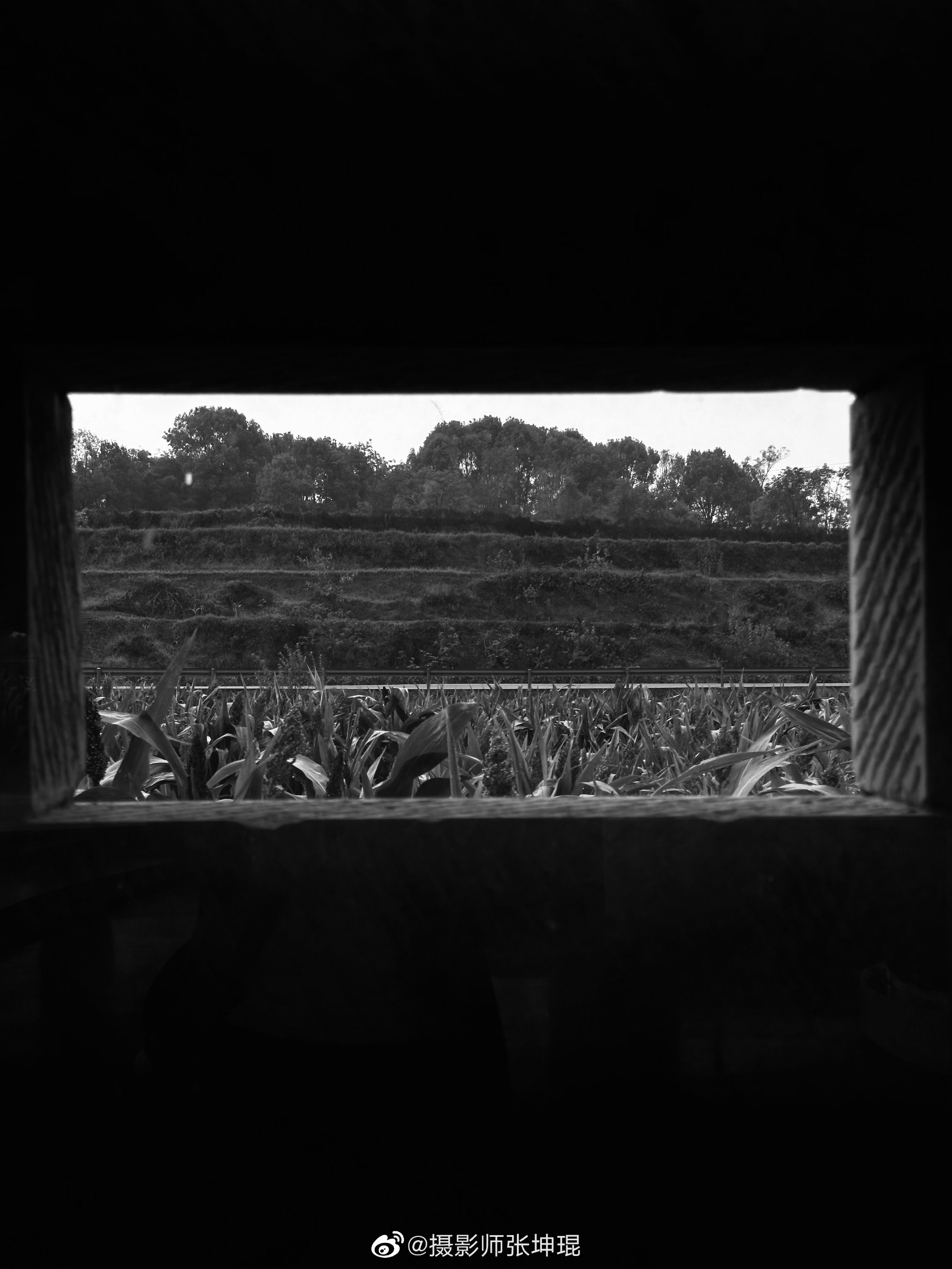 Chuwa 一亩三分地 - e5fhof4