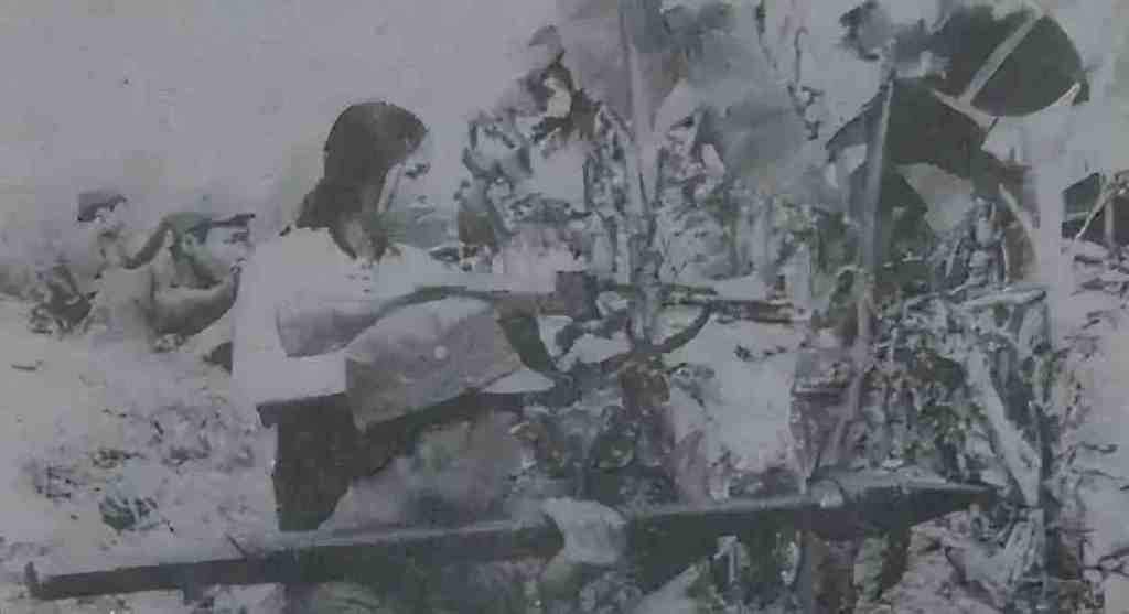号称“世界第四大武装力量”的南越军,为何仅55天就被北越团灭|西贡|美军|阮文绍_新浪新闻