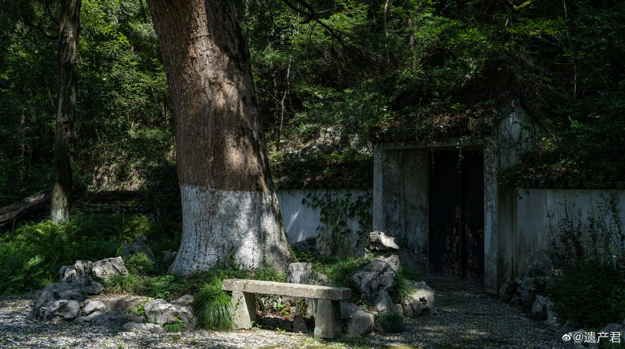浙江台州,九峰公园,很喜欢山脚下的这一片园林__财经头条