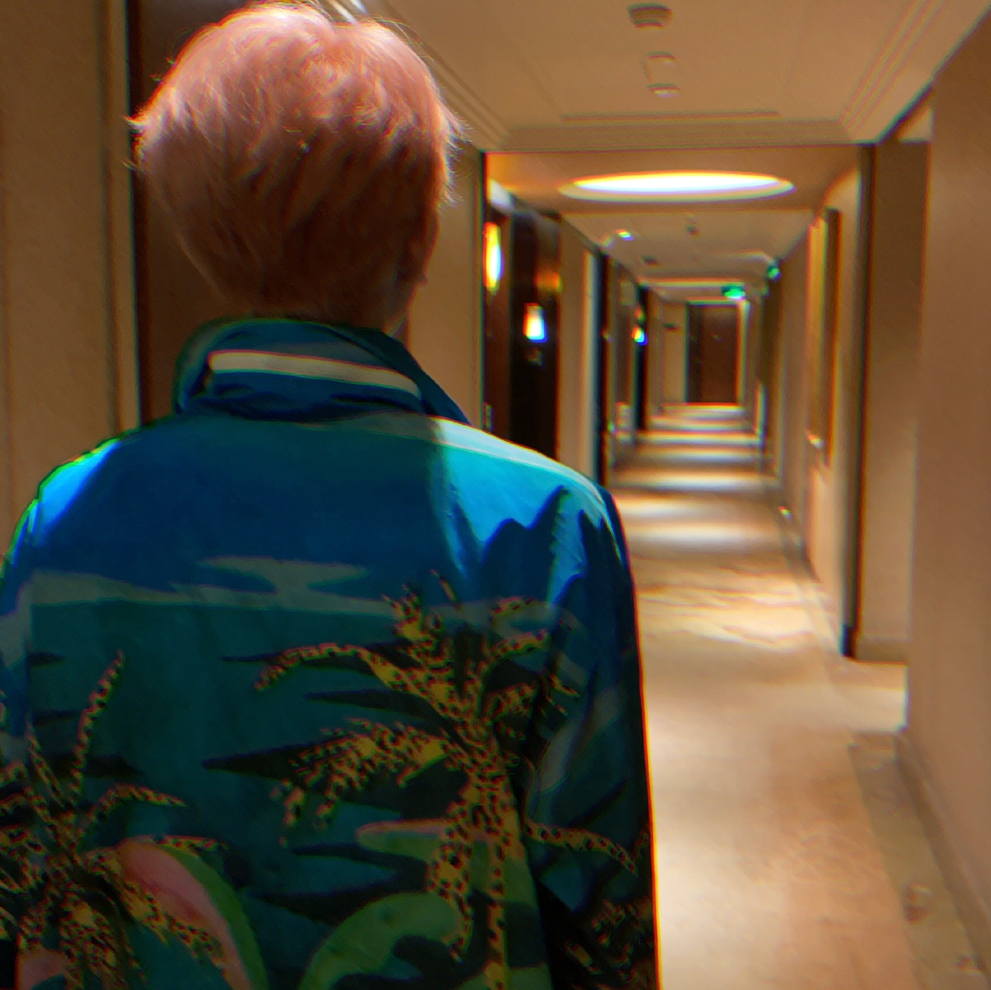 王源工作室分享了一组王源红发背影图