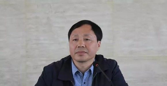 包括1名副市长、7个市直局委等