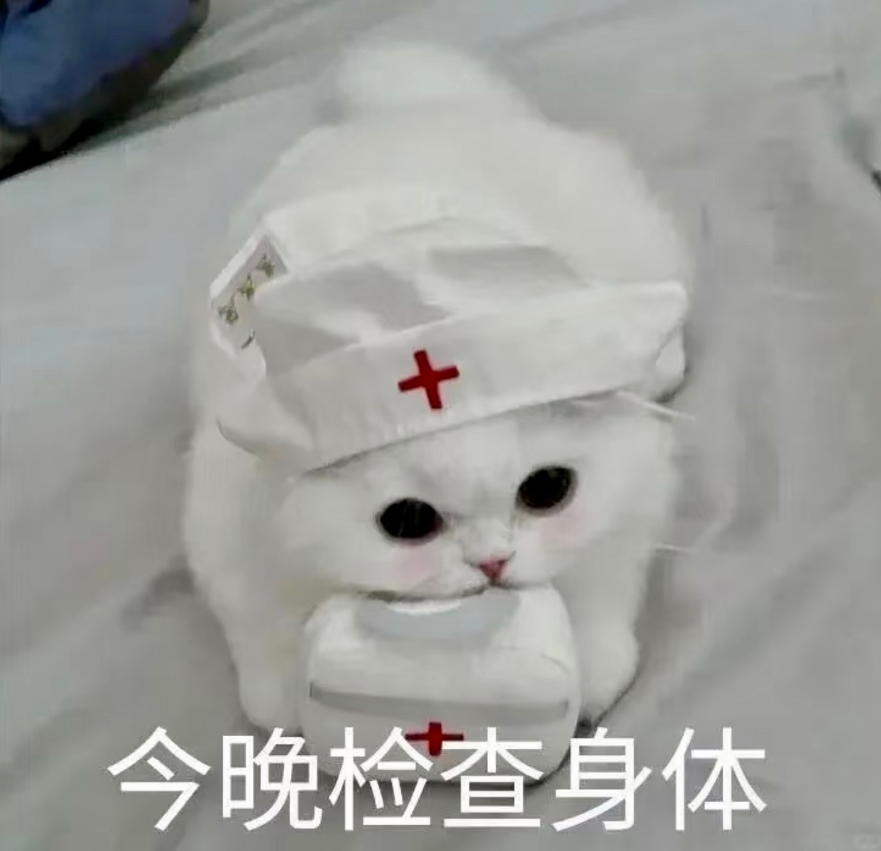 表情包又更新了丨拿图互动 呼加拉那就呼 今晚检查身体 哥们今晚要熬夜|表情包集锦|老六|喵喵|上学_新浪娱乐_新浪新闻