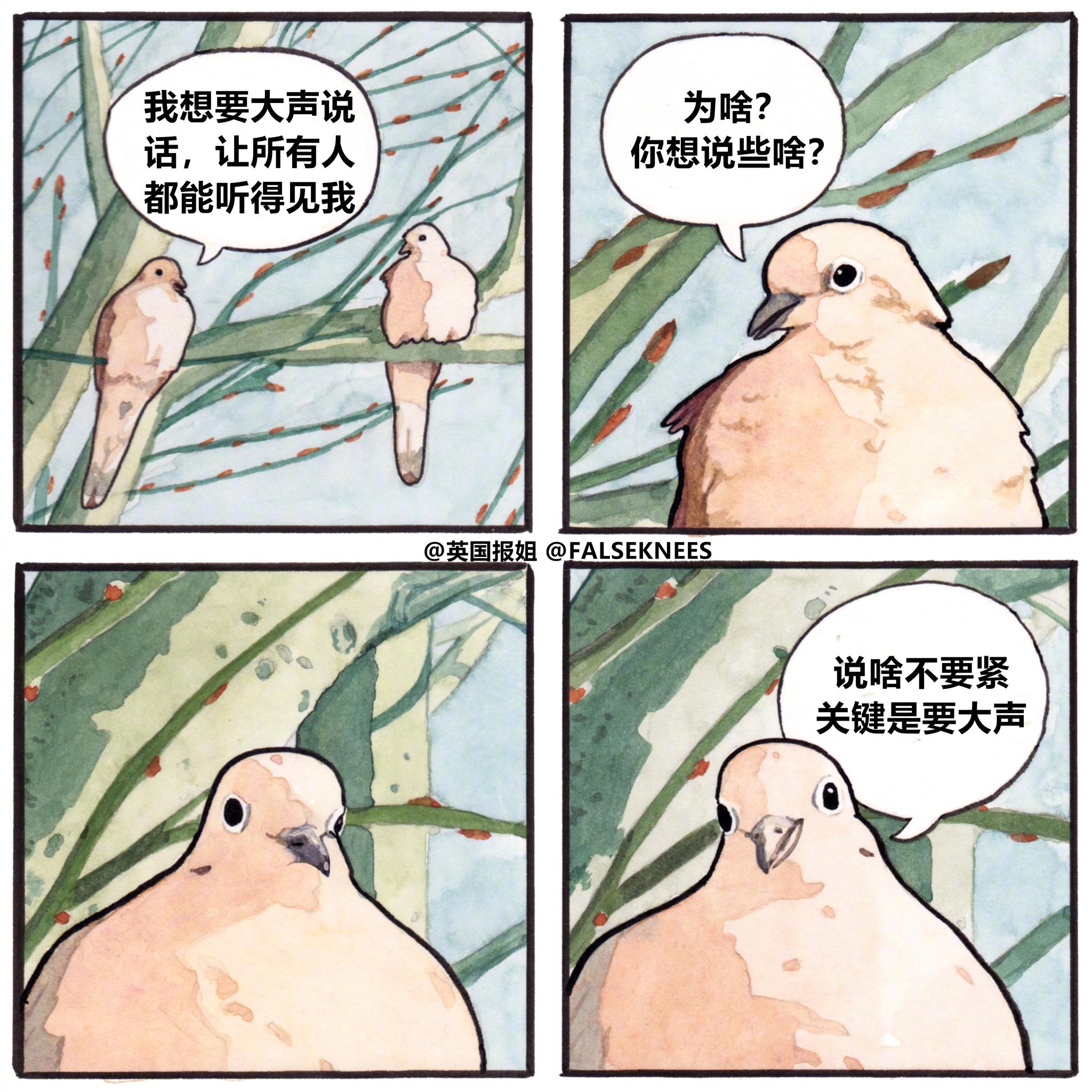 漫画家笔下的可爱鸟儿们 有些完全就是大哲学家啊 漫画家笔下的可爱鸟儿们 有些完全就是大哲学家啊