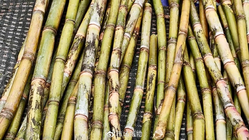 广州荔塱,三月物产集锦,在青黄不接之前|蔬菜|广州市|煲汤_新浪新闻