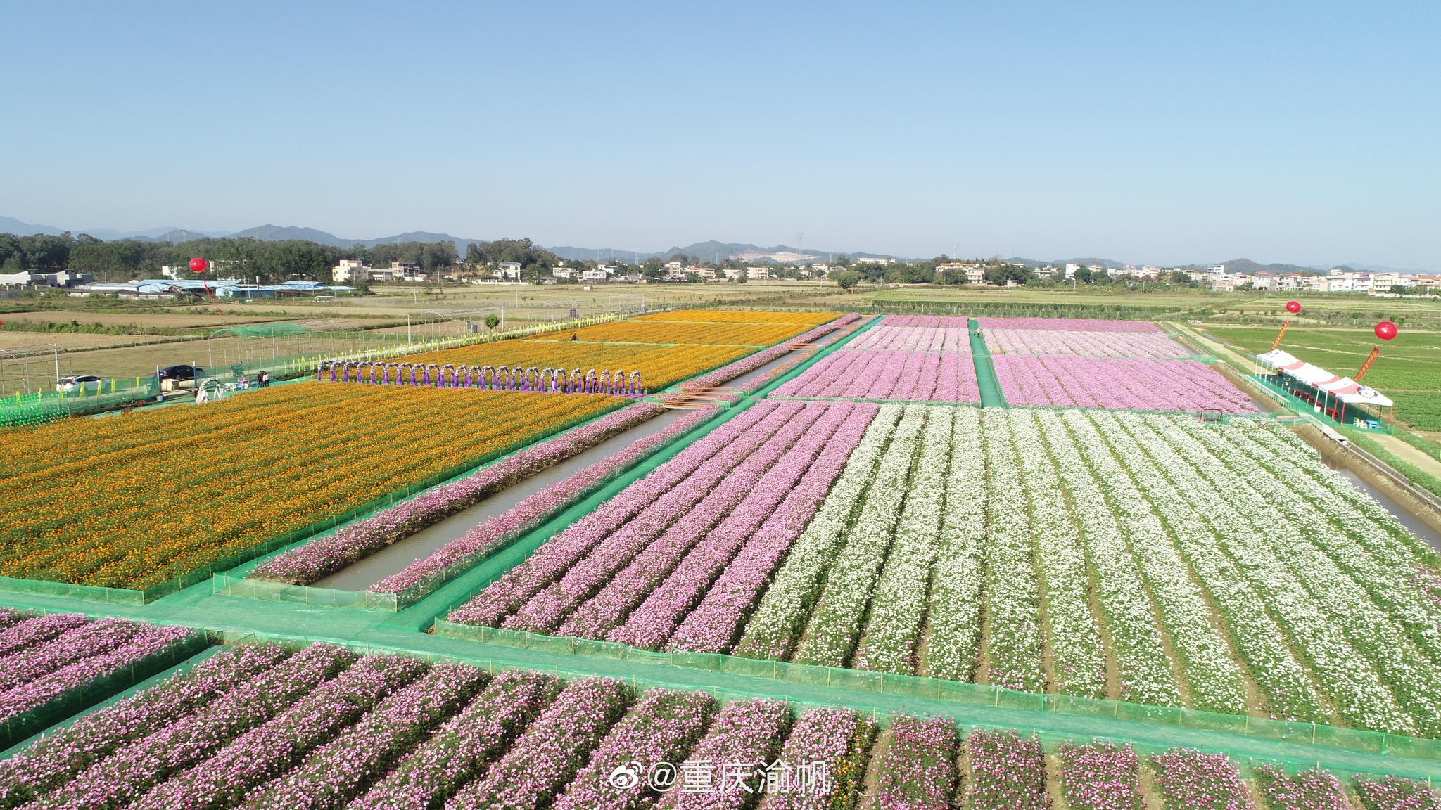 广东海纳现代农业生态园位于广东惠州的惠城区