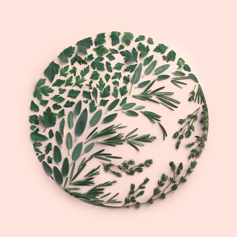 靠整理垃圾她成为艺术家排列规整的图案让人看了心情舒畅