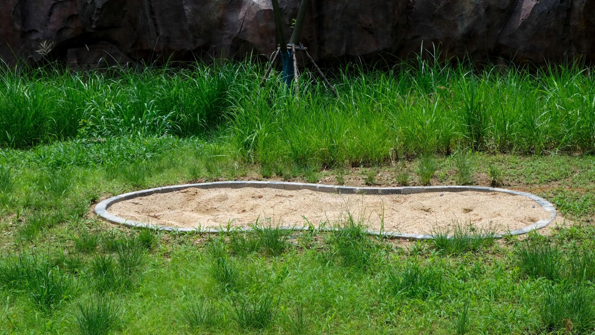 沙滩、泳池,野生动物们的“豪宅”长这样休闲区蓝鸢梦想 - Www.slyday.coM 沙滩、泳池,野生动物们的“豪宅”长这样休闲区蓝鸢梦想 - Www.slyday.coM