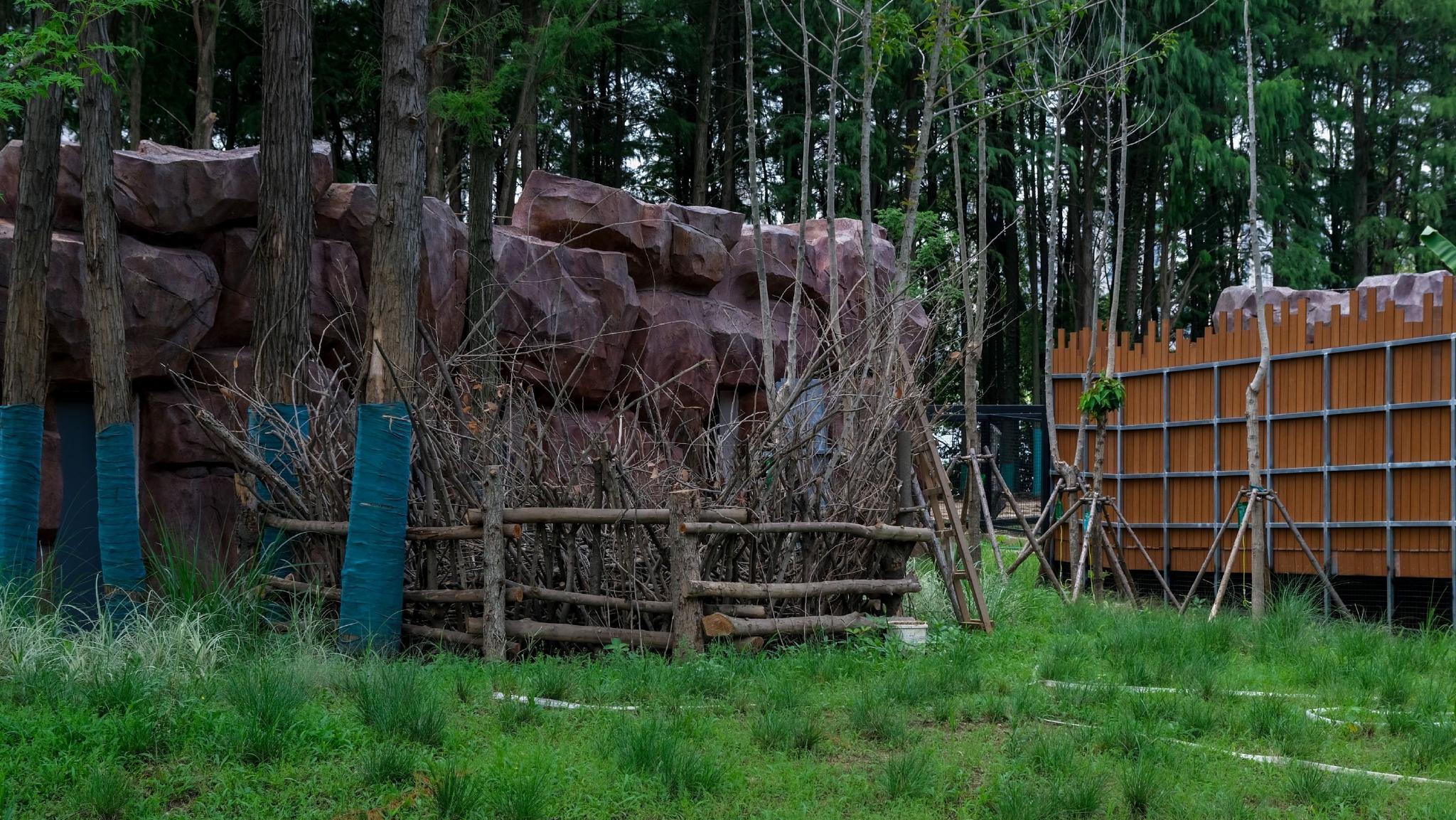 沙滩、泳池,野生动物们的“豪宅”长这样休闲区蓝鸢梦想 - Www.slyday.coM 沙滩、泳池,野生动物们的“豪宅”长这样休闲区蓝鸢梦想 - Www.slyday.coM