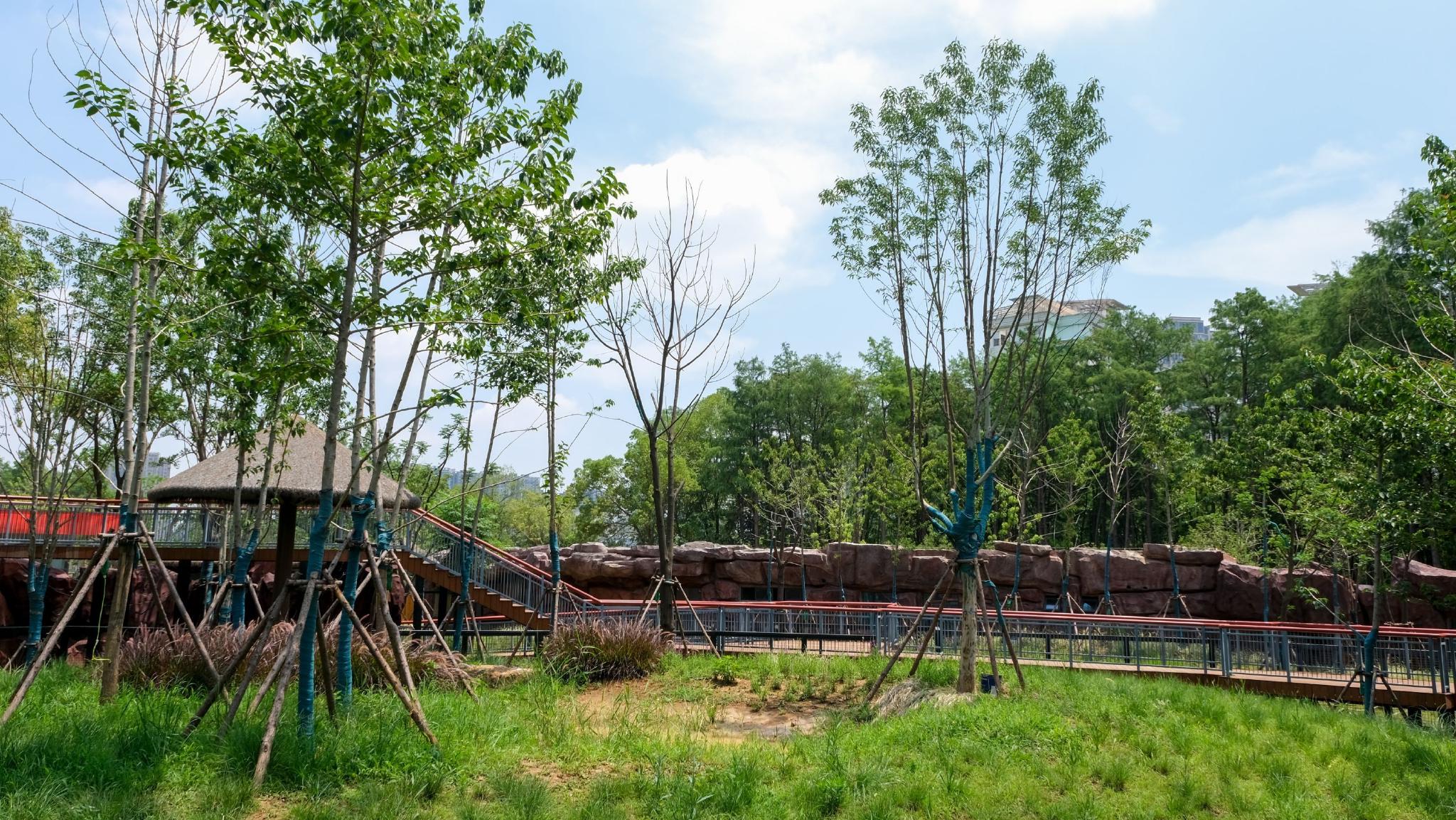 沙滩、泳池,野生动物们的“豪宅”长这样休闲区蓝鸢梦想 - Www.slyday.coM 沙滩、泳池,野生动物们的“豪宅”长这样休闲区蓝鸢梦想 - Www.slyday.coM