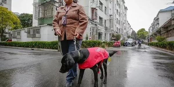 担心尿液污染“水源”，赶走导盲犬的同时、也赶走了良知休闲区蓝鸢梦想 - Www.slyday.coM