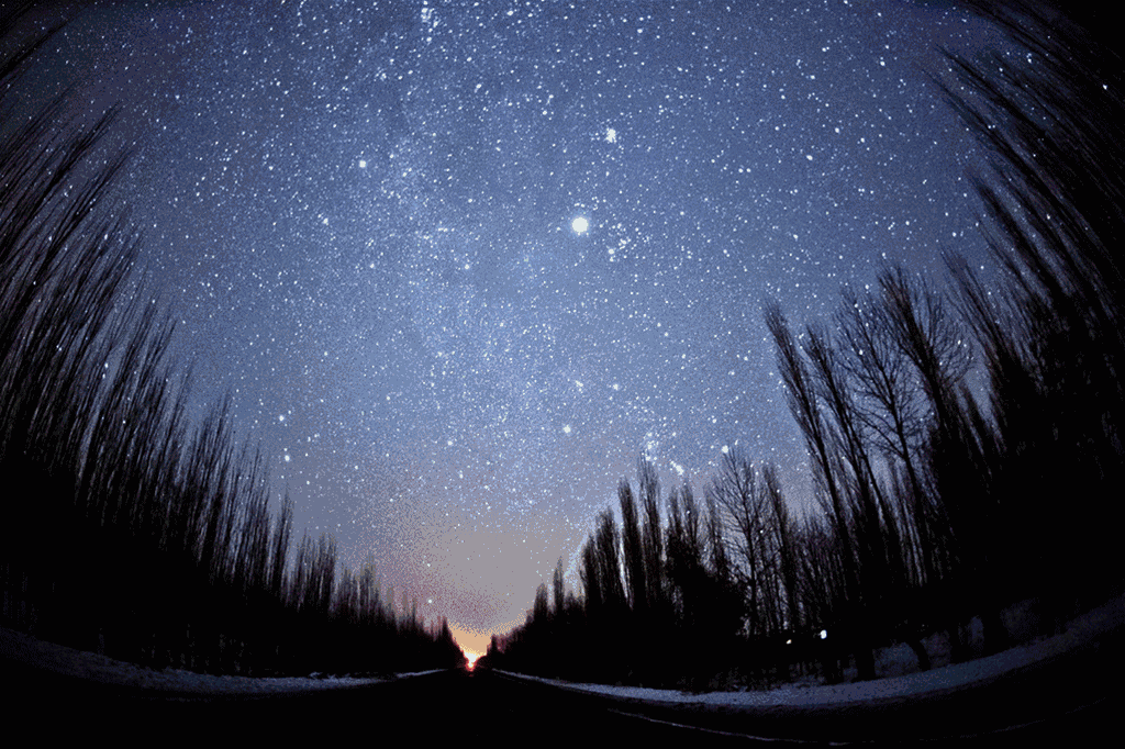 想要和你一起,躺在草地上,数星星…… 晚安,宝宝们