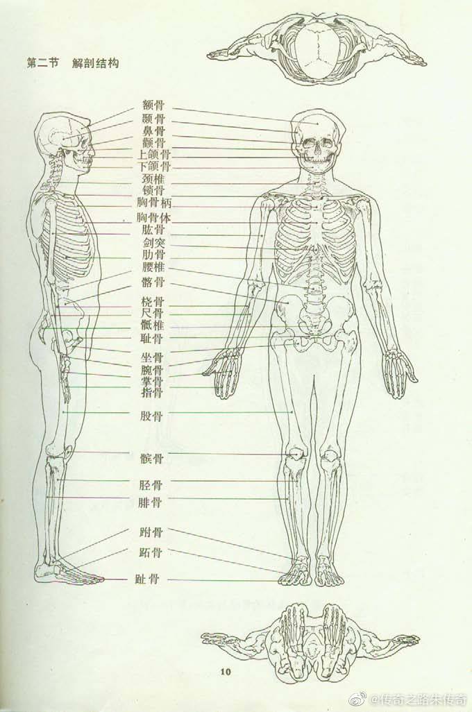 艺用人体结构运动学,是本好书我们陆续把内容呈现给大家。