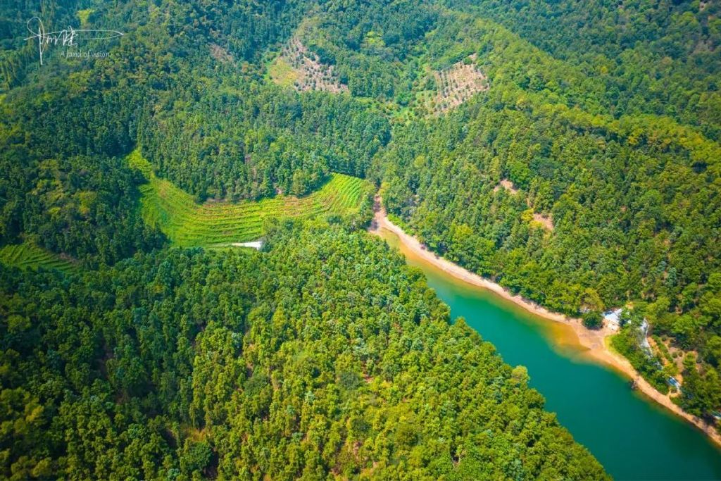 航拍40度高温下的甘岭水库,旁边就是有112年历史的长乐林场休闲区蓝鸢梦想 - Www.slyday.coM 航拍40度高温下的甘岭水库,旁边就是有112年历史的长乐林场休闲区蓝鸢梦想 - Www.slyday.coM