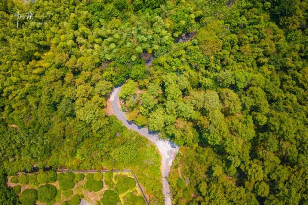 航拍40度高温下的甘岭水库,旁边就是有112年历史的长乐林场休闲区蓝鸢梦想 - Www.slyday.coM 航拍40度高温下的甘岭水库,旁边就是有112年历史的长乐林场休闲区蓝鸢梦想 - Www.slyday.coM